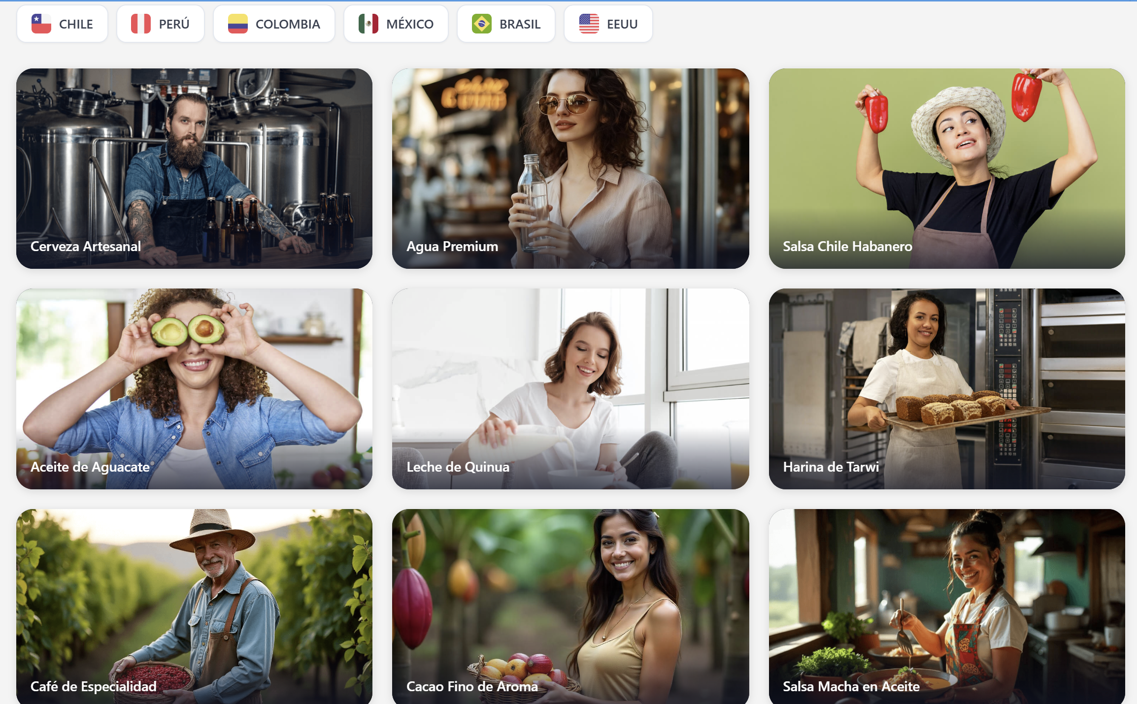 Mercados y productos de CEOSim Core
