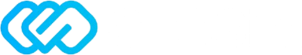 CEOSim